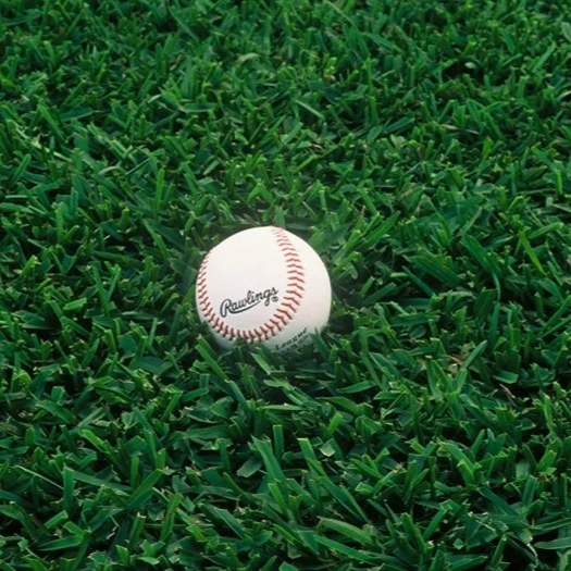 St. Augustine™ Sod