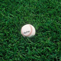 St. Augustine™ Sod