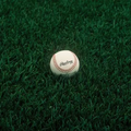 Pureblue™ Sod