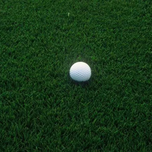 Hybrid Bermuda