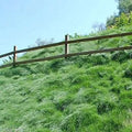 Green Wave™  Sod