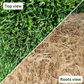 Marathon™ II Lite Sod